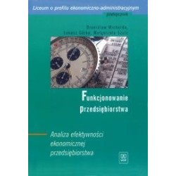 Funkcjonowanie przedsiębiorstwa. Analiza efektywności ekonomicznej przedsiębiorstwa