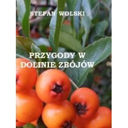 PRZYGODY W DOLINIE ZBÓJÓW