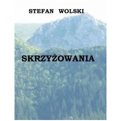 Skrzyżowania